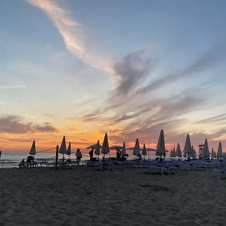Casa Al Mare Delia Apartment